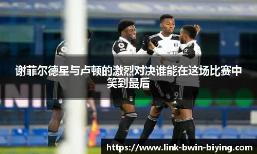 谢菲尔德星与卢顿的激烈对决谁能在这场比赛中笑到最后